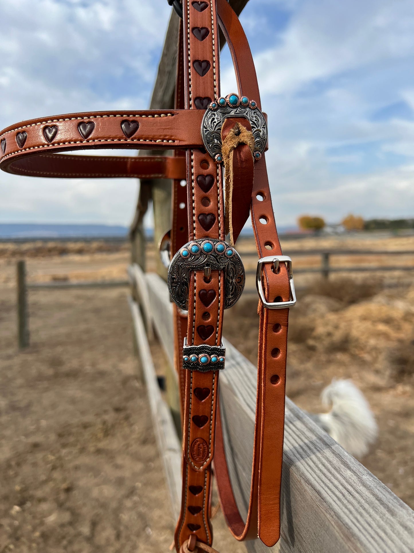 Dark Hearts Browband Headstall