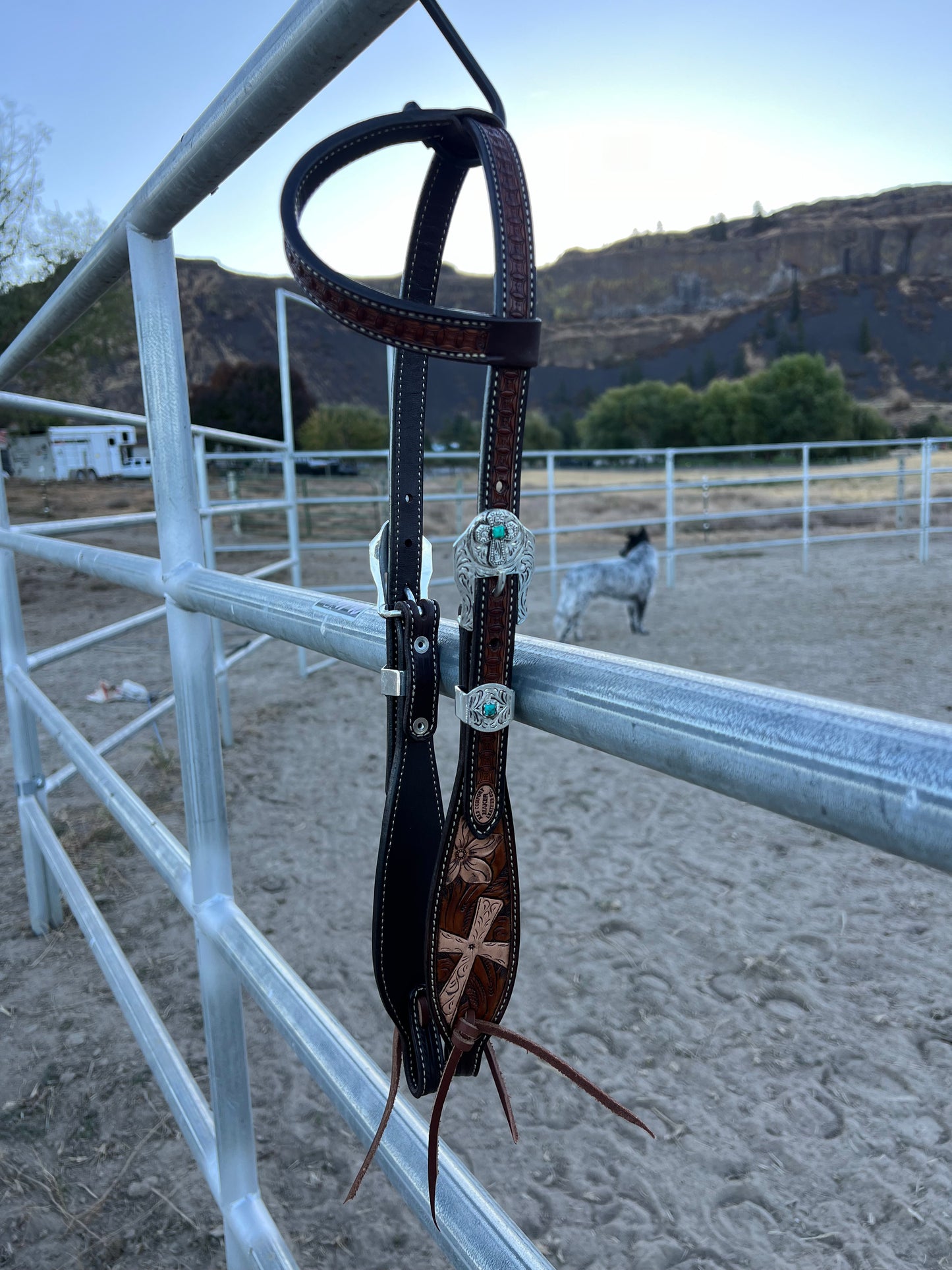 Faith Headstall