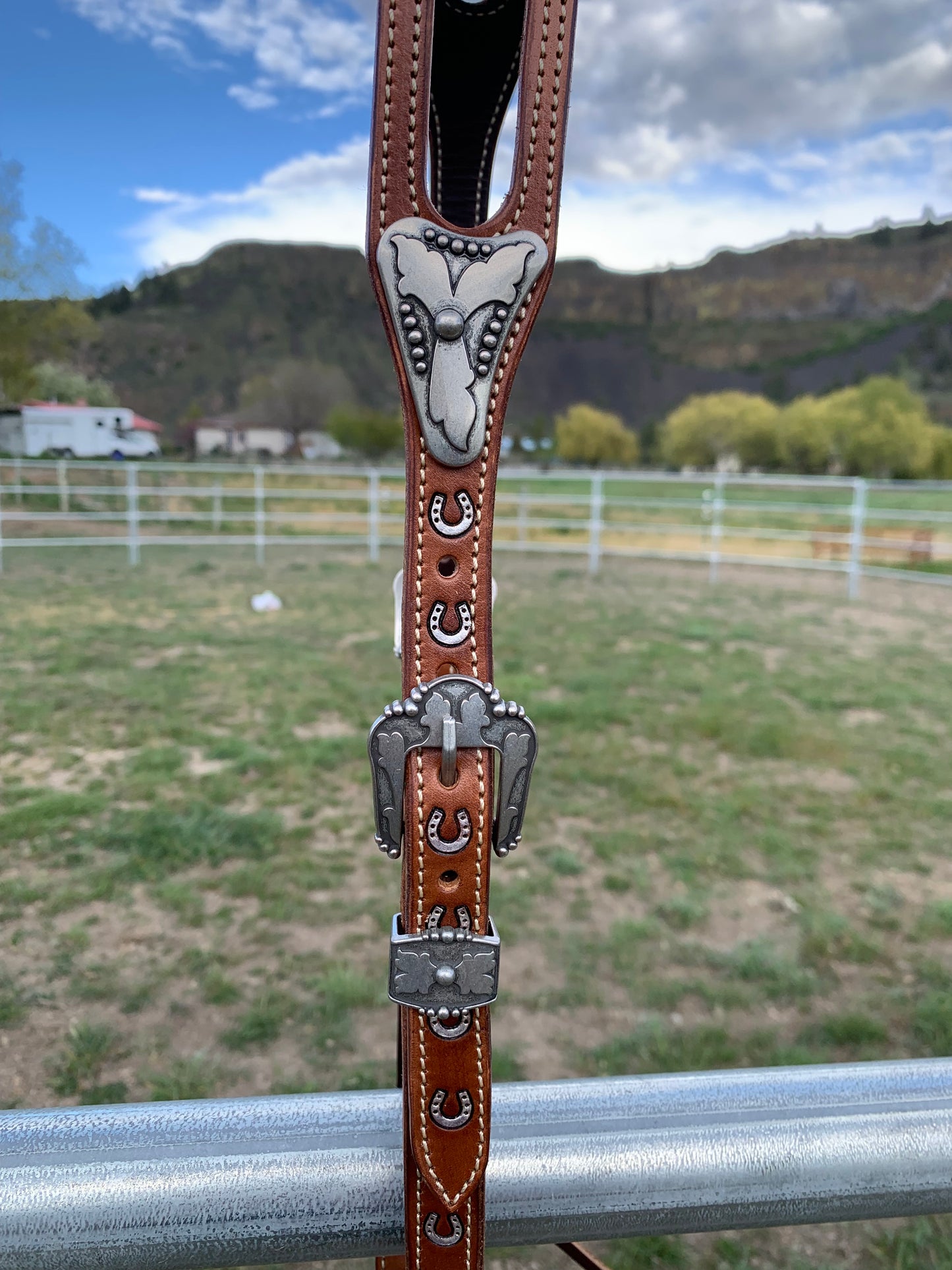 Lucky Split Ear Headstall