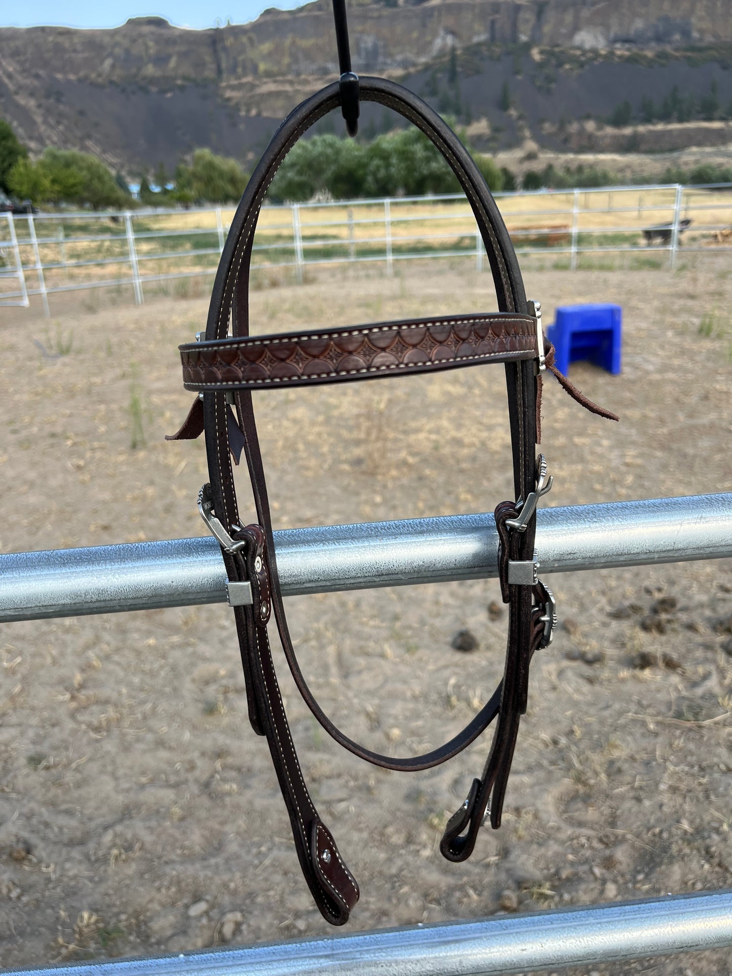 Starburst Browband Headstall