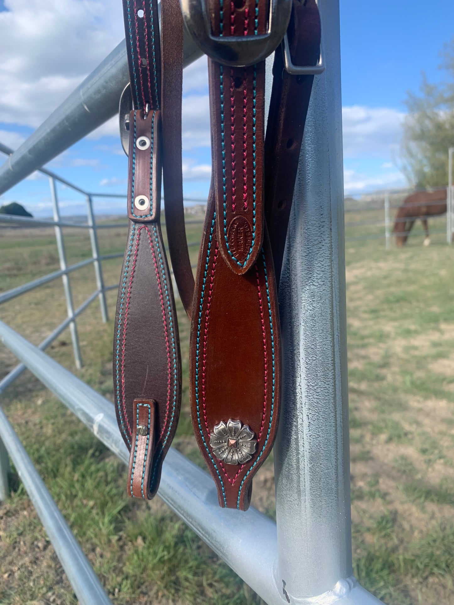 Colorful V-Brow Headstall