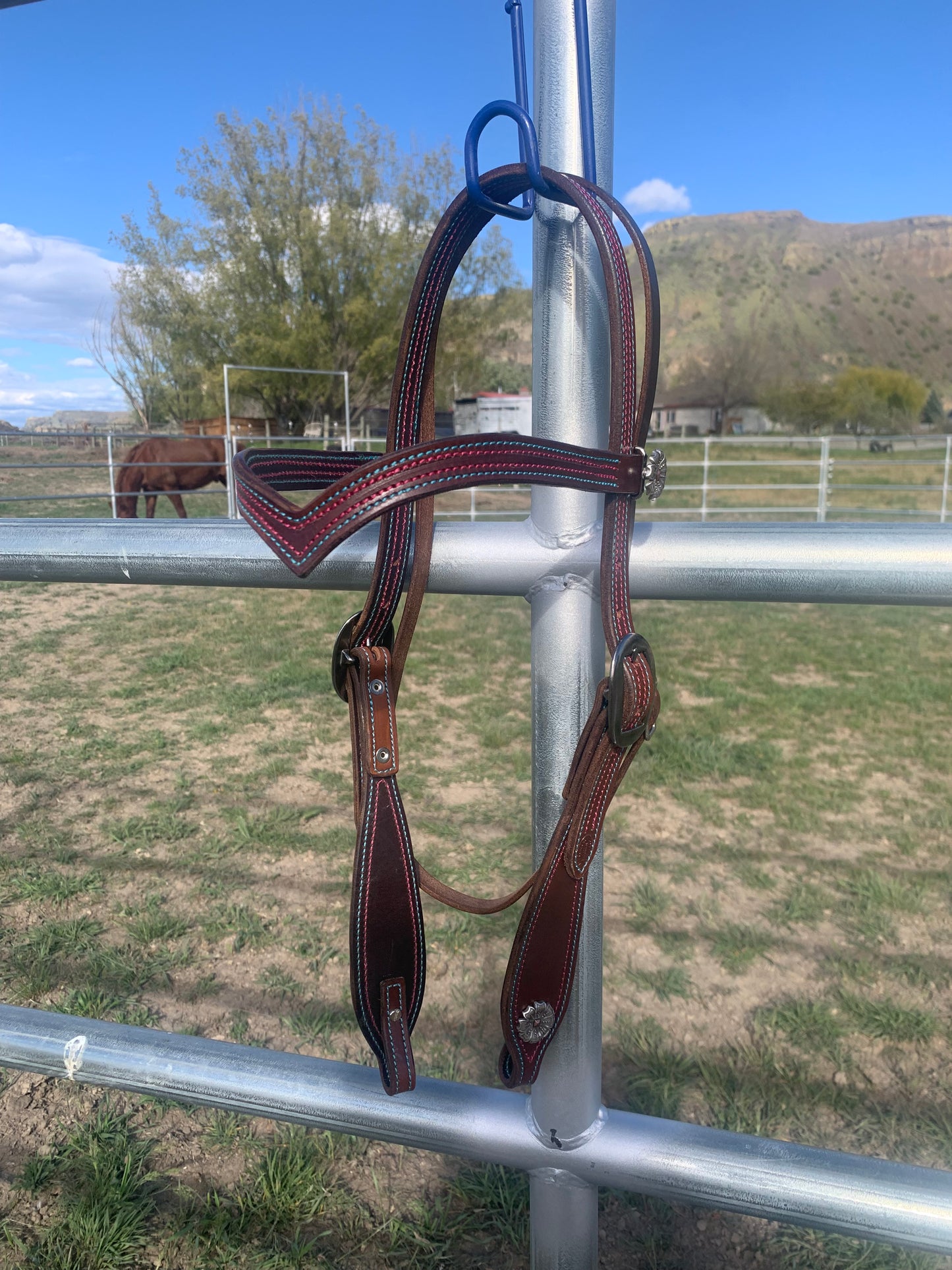 Colorful V-Brow Headstall