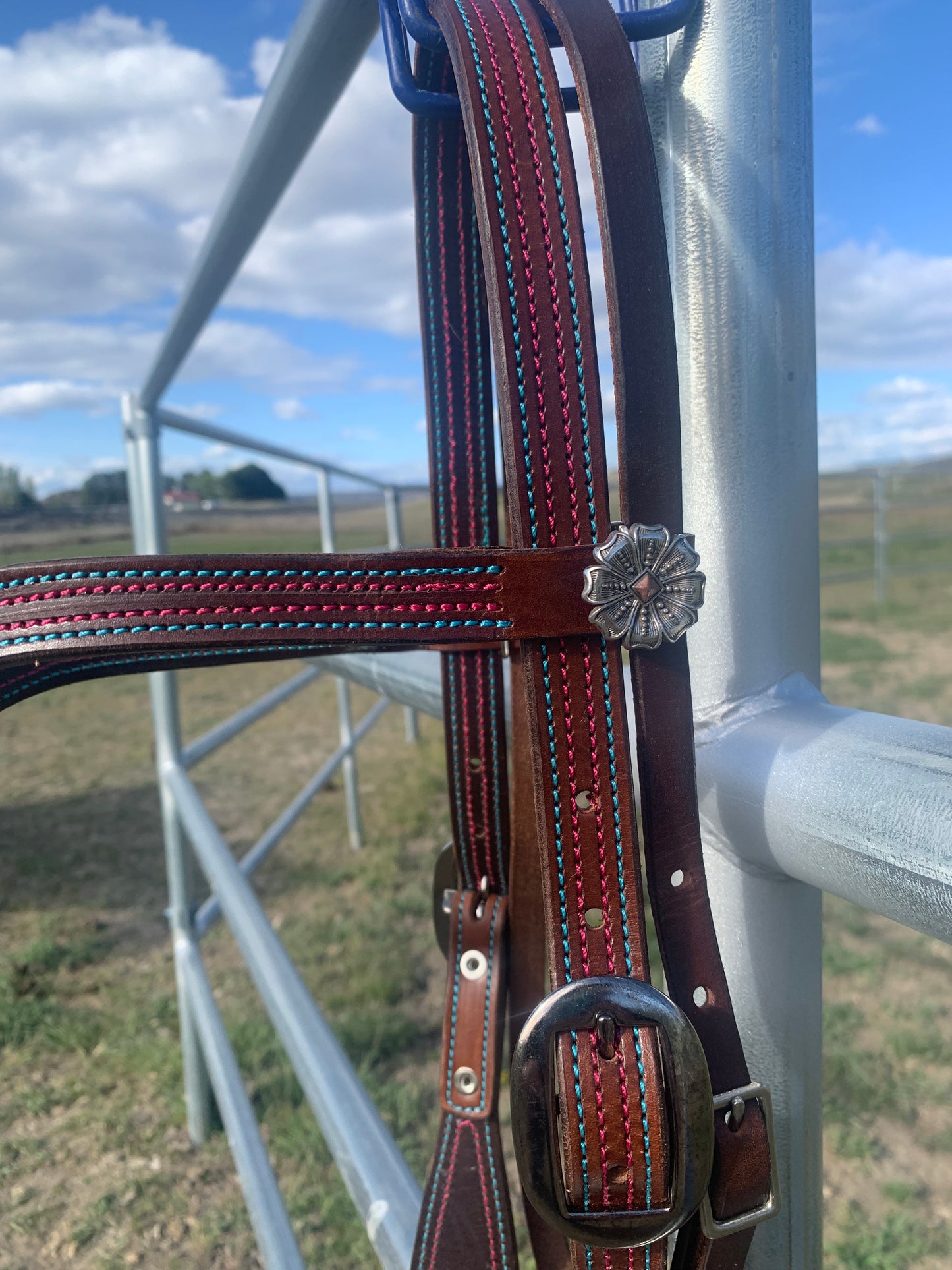 Colorful V-Brow Headstall