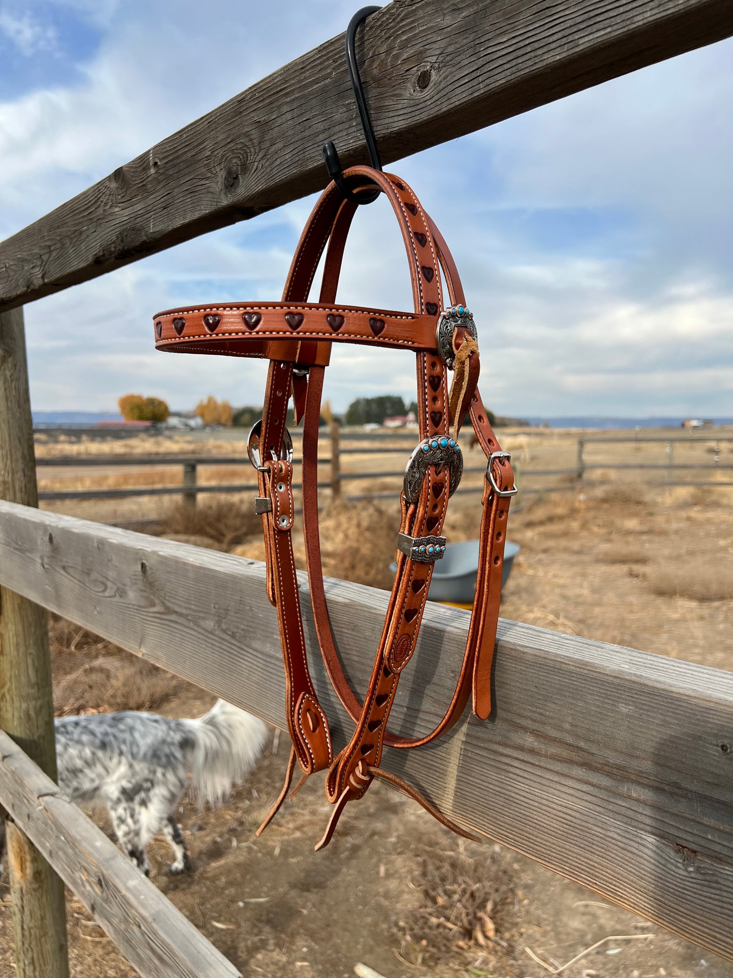 Dark Hearts Browband Headstall