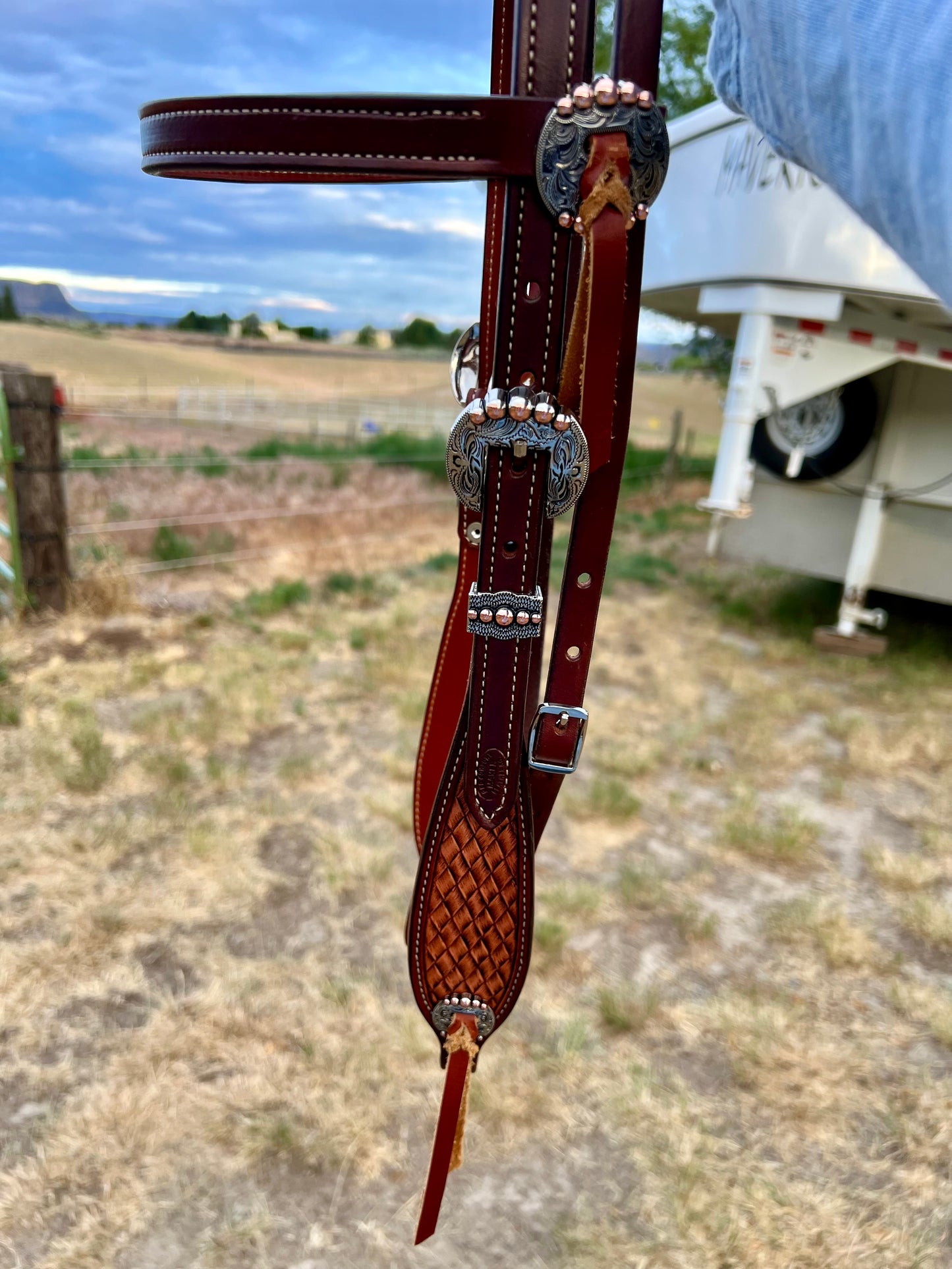 Wood Grain Diamonds Browband Headstall