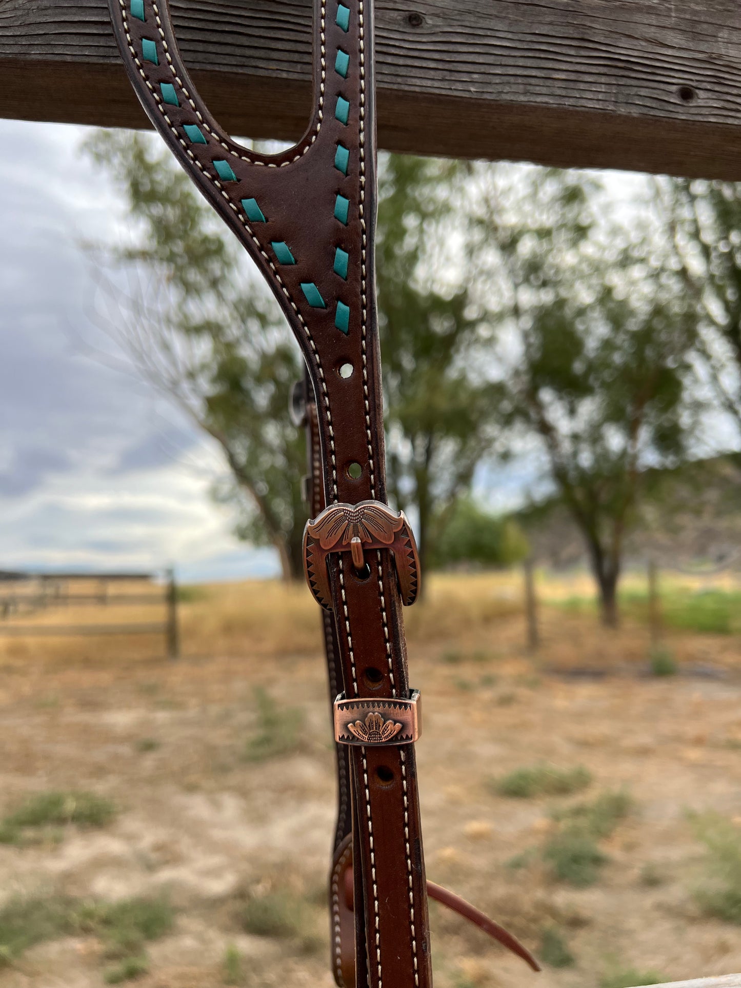 Turquoise Buckstitch Shaped Ear