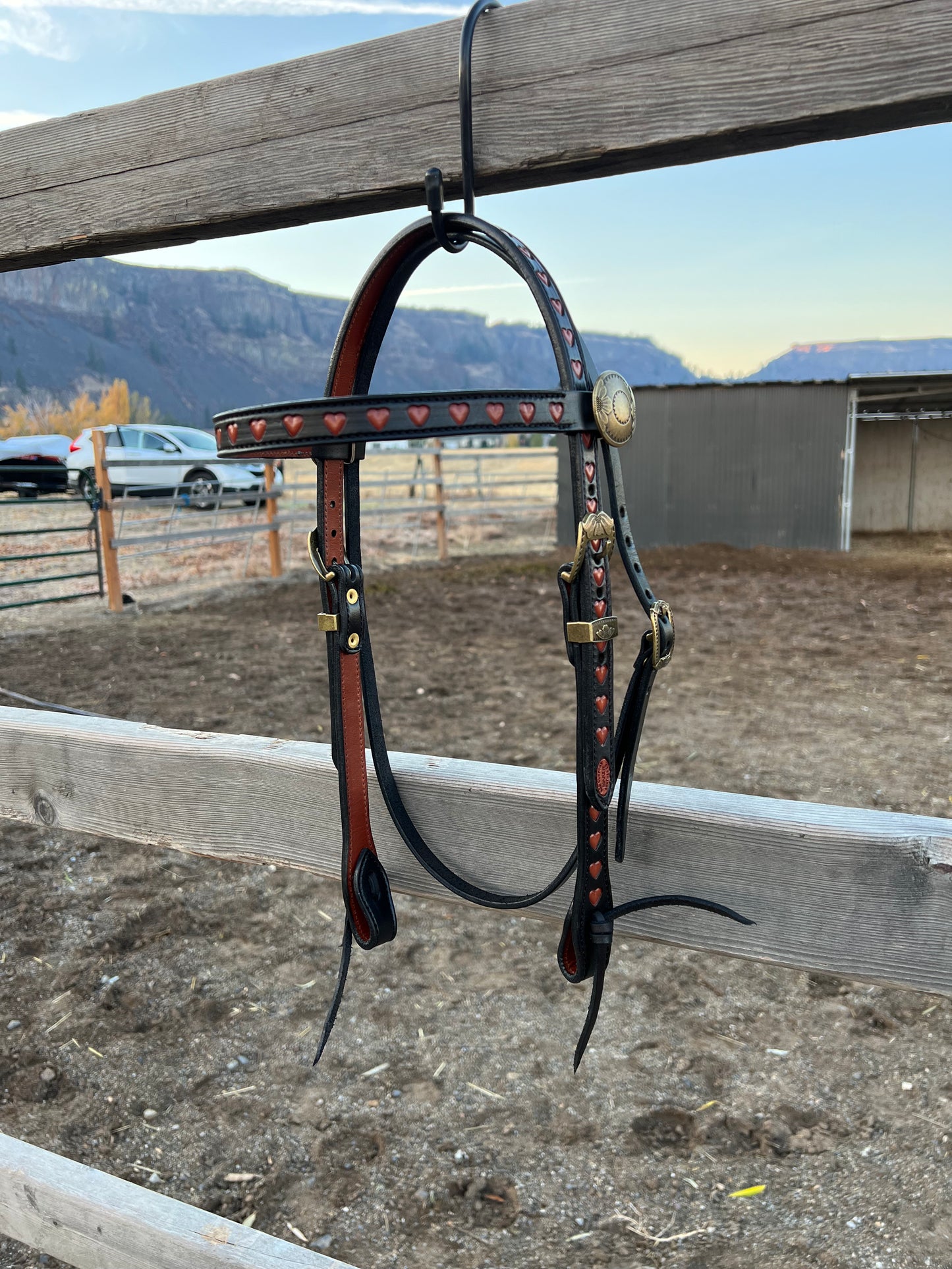 Maddie’s Headstall